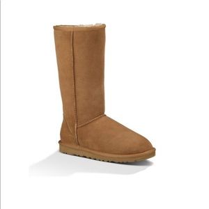 NWT tall classic ugg boot chestnut size 7